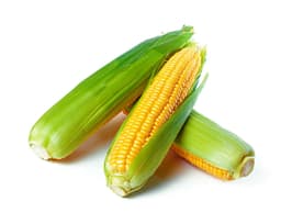 Масло кукурузы (Zea Mays)
