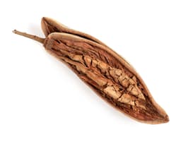 Масло семян баобаба (Adansonia Digitata)