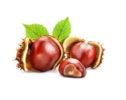 Экстракт семян конского каштана (Aesculus Hippocastanum)