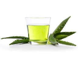 Экстракт алоэ (Aloe Barbadensis)