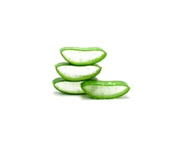 Порошок сока листьев алоэ (Aloe Barbadensis)