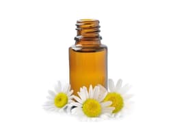 Цветочная вода ромашки римской (Anthemis Nobilis)