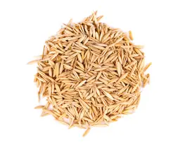 Экстракт зерен овса (Avena Sativa)