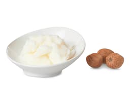 Масло ши (Butyrospermum Parkii)