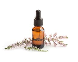 Экстракт вереска обыкновенного (Calluna Vulgaris)