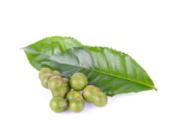 Масло семян камелии китайской (Camellia Sinensis)