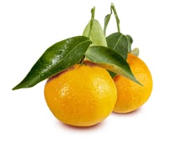 Экстракт кожуры мандарина уншиу (Citrus Unshiu)