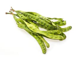 Гуаровая камедь (Cyamopsis Tetragonoloba)