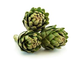 Экстракт листьев артишока (Cynara Scolymus)