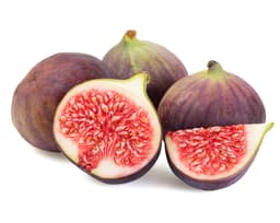 Экстракт плодов инжира (Ficus Carica)