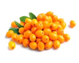 Экстракт облепихи крушиновидной (Hippophae Rhamnoides)