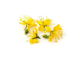 Экстракт зверобоя продырявленного (Hypericum Perforatum)