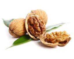 Порошок скорлупы грецкого ореха (Juglans Regia)