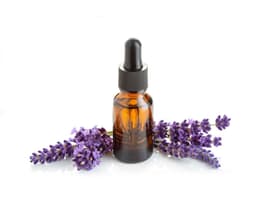Цветочная вода лаванды (Lavandula Angustifolia)