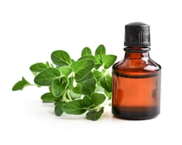 Масло ветвей/листьев лептоспермума скапариума