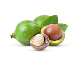 Масло семян макадамии (Macadamia Integrifolia)