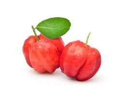 Экстракт плодов ацеролы (Malpighia Punicifolia)