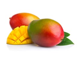 Экстракт плодов манго (Mangifera Indica)