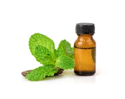 Масло листьев мяты полевой (Mentha Arvensis)