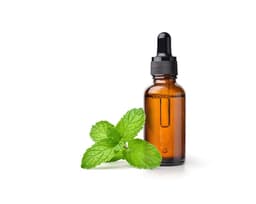 Масло мяты перечной (Mentha Piperita)
