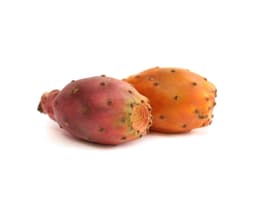 Экстракт плодов опунции (Opuntia Coccinellifera)