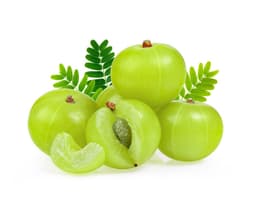 Экстракт плодов эмблики (Phyllanthus Emblica)
