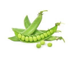 Экстракт гороха (Pisum Sativum)
