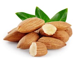 Экстракт плодов сладкого миндаля (Prunus Amygdalus Dulcis)