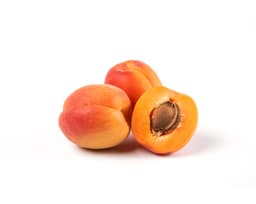 Порошок семян абрикоса (Prunus Armeniaca)