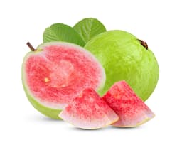 Экстракт плодов гуавы (Psidium Guajava)