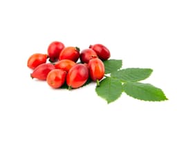 Масло семян шиповника (Rosa Canina)