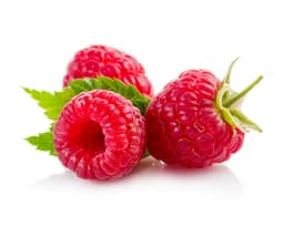 Экстракт плодов малины (Rubus Idaeus)