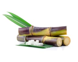 Экстракт сахарного тростника (Saccharum Officinarum)