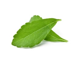 Экстракт листьев/стеблей стевии (Stevia Rebaudiana)