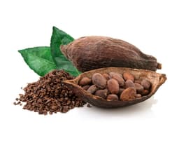Масло семян какао (Theobroma Cacao)