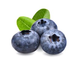 Экстракт плодов черники (Vaccinium Myrtillus)