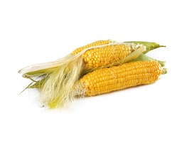 Масло зародышей кукурузы (Zea Mays)